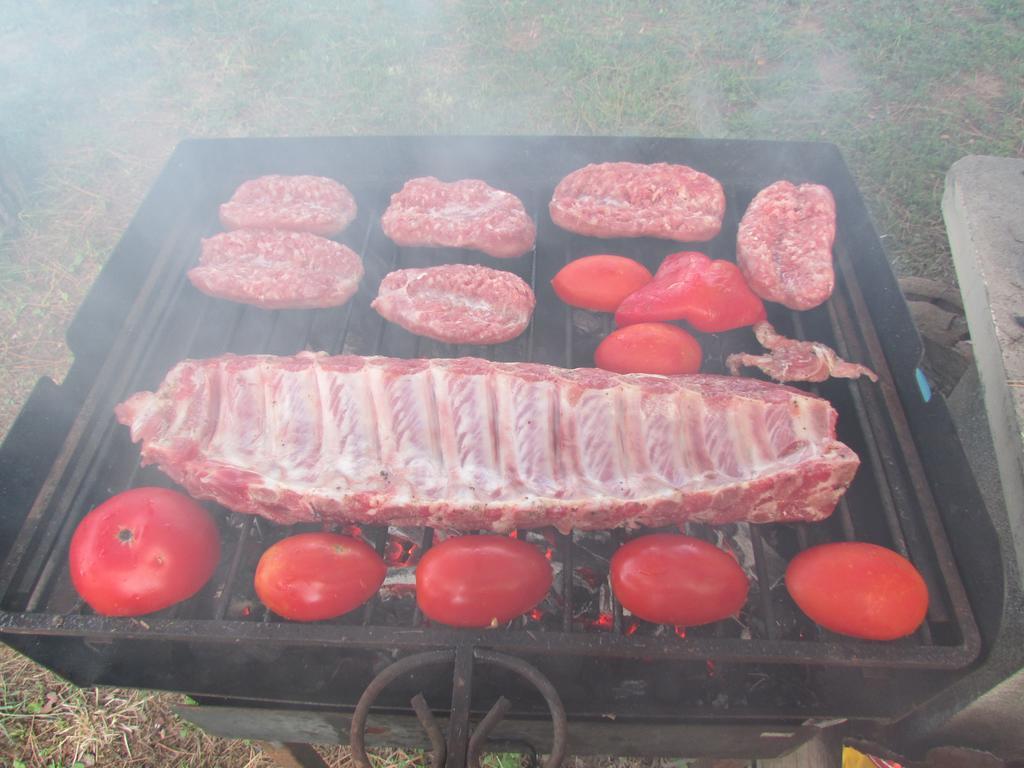 캄필리아 마리티마 Azienda Agrituristica Allumiere 빌라 외부 사진
